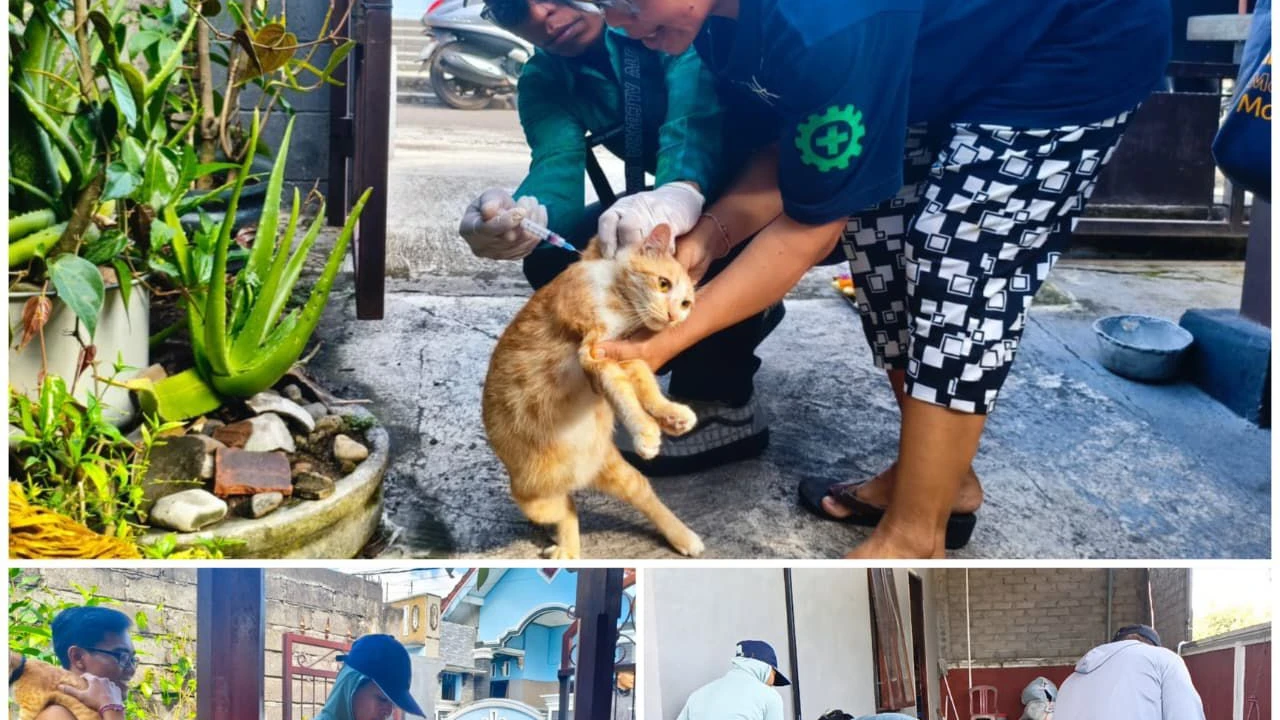Vaksinasi Rabies Massal Sasar Anjing dan Kucing di Desa Tegalbadeng