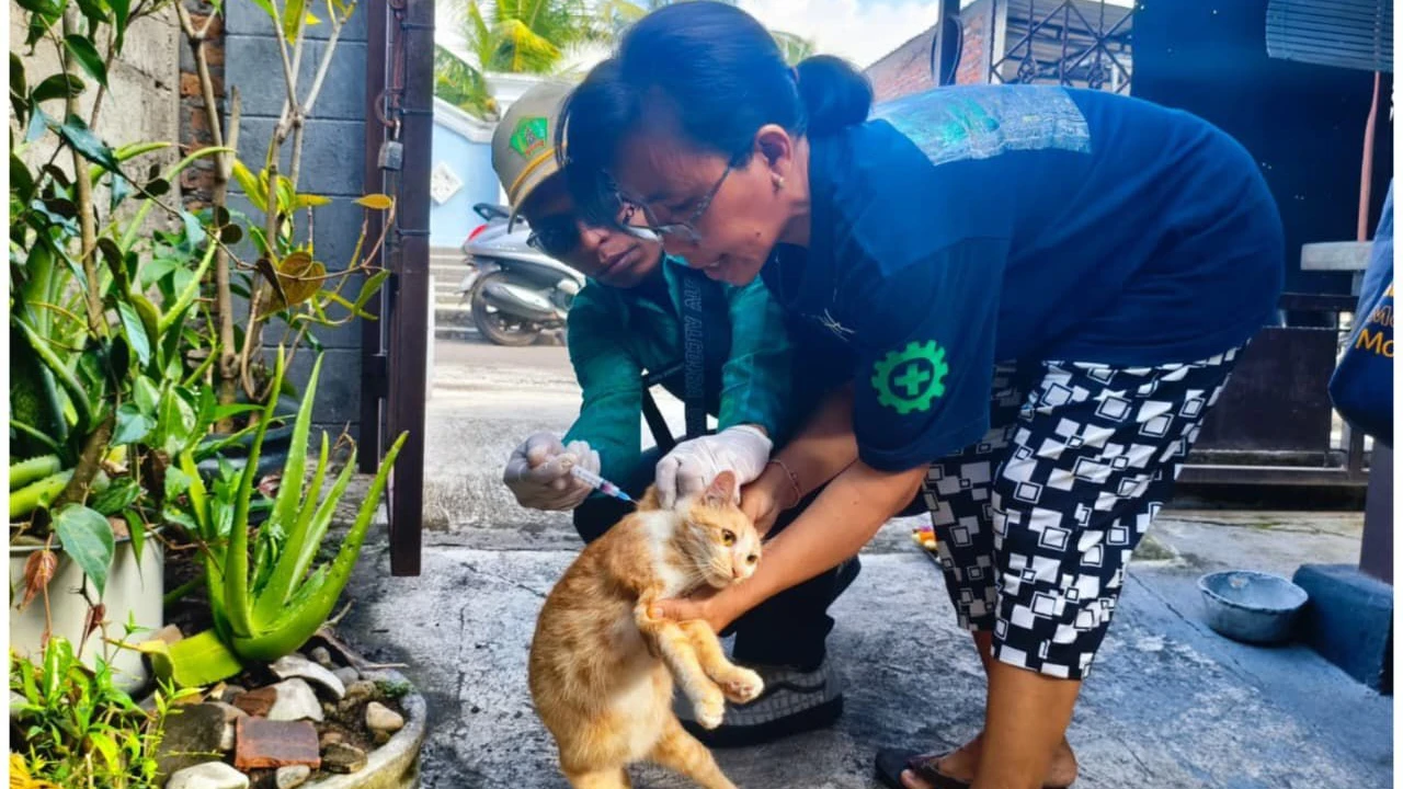 Vaksinasi Rabies Massal Sasar Anjing dan Kucing di Desa Tegalbadeng