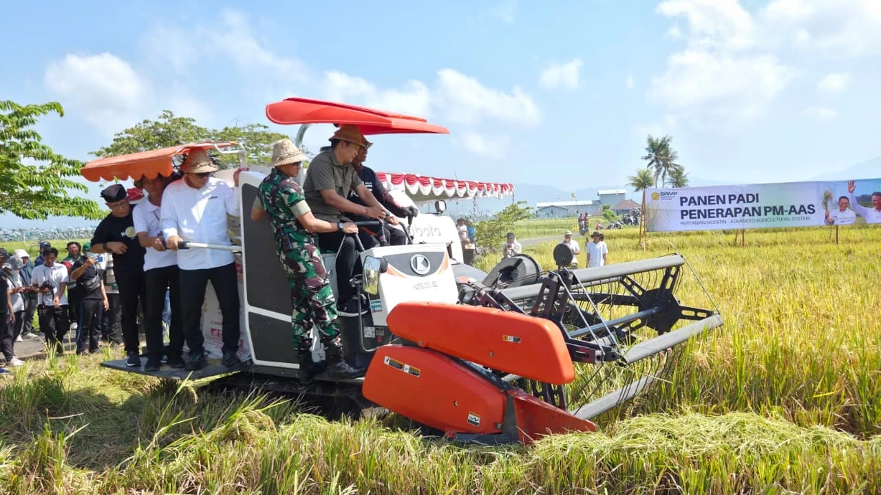 PANEN PADI BERSAMA KEGIATAN PILOTTING PERAKITAN DAN MODERNISASI KAWASAN PADI SKALA LUAS (100 HA) - PENERAPAN TEKNOLOGI PERTANIAN MODERN AGRICULTURE ADVANCED SYSTEM (PM-AAS)